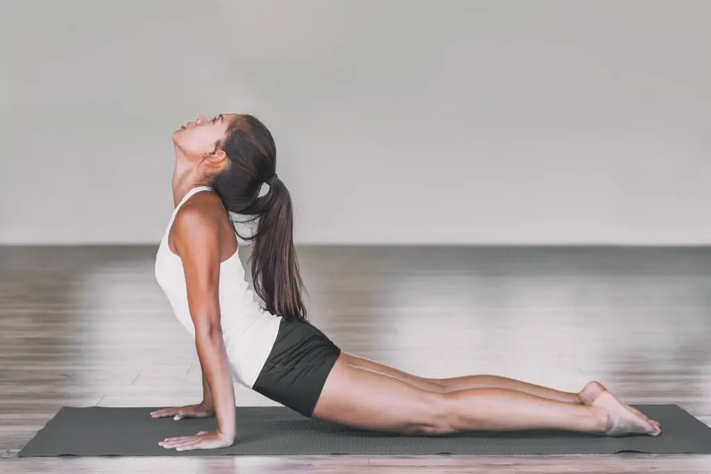 Chaturanga dandasana: a postura da prancha baixa urdhva mukha svanasana