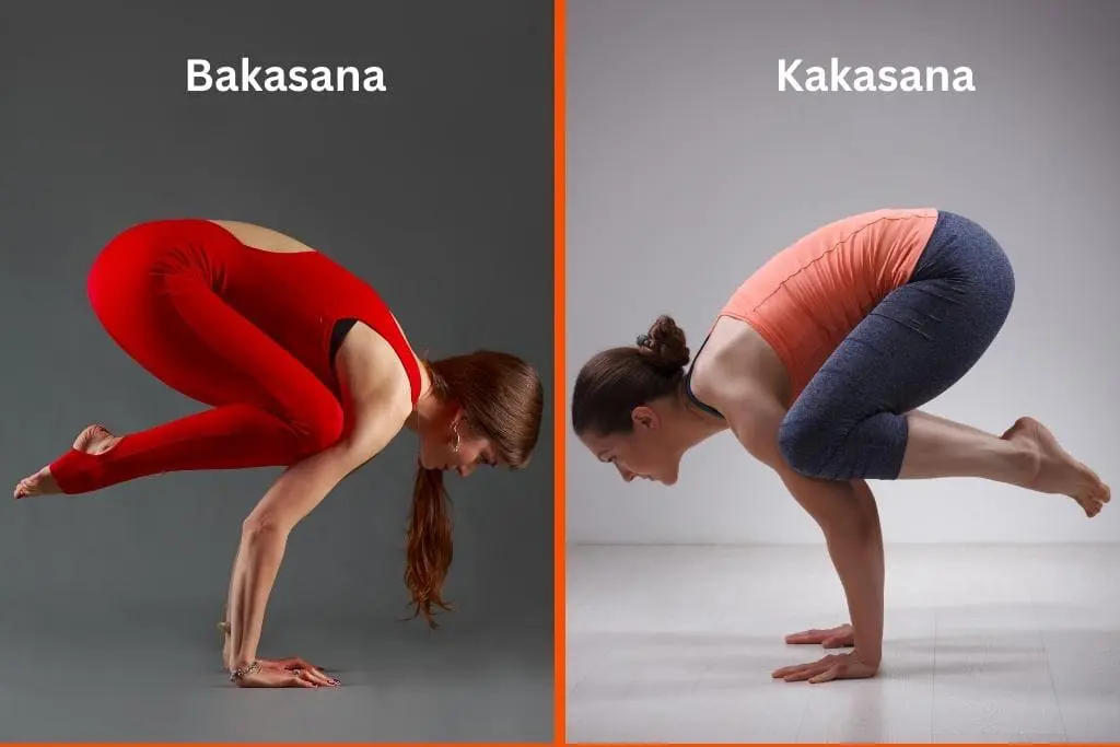 A postura do corvo: bakasana ou kakasana bakasana kakasana postura do corvo