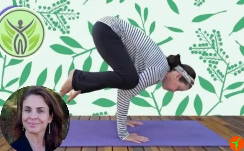5 melhores cursos de yoga online para iniciantes: pratique em casa curso formação em yoga instrutora andreia torres udemy