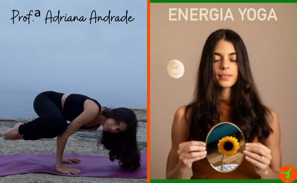 cursos aulas yoga online iniciantes