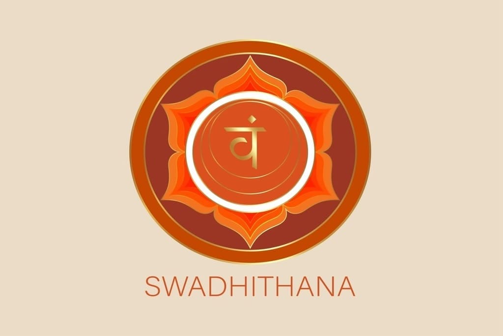 os 7 chakras do corpo humano blog yoga ou ioga svadhishana chacra sacral