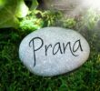 Prana yoga: o sopro de vida do universo