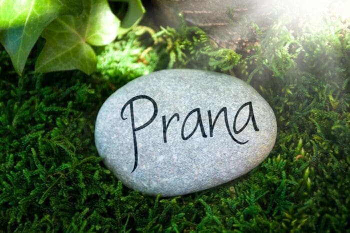 o que é prana yoga ou ioga