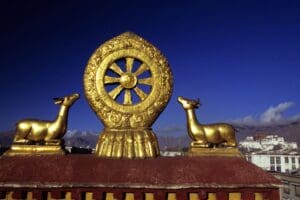 o que é dharma yoga ou ioga