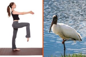 postura da cegonha yoga ou ioga