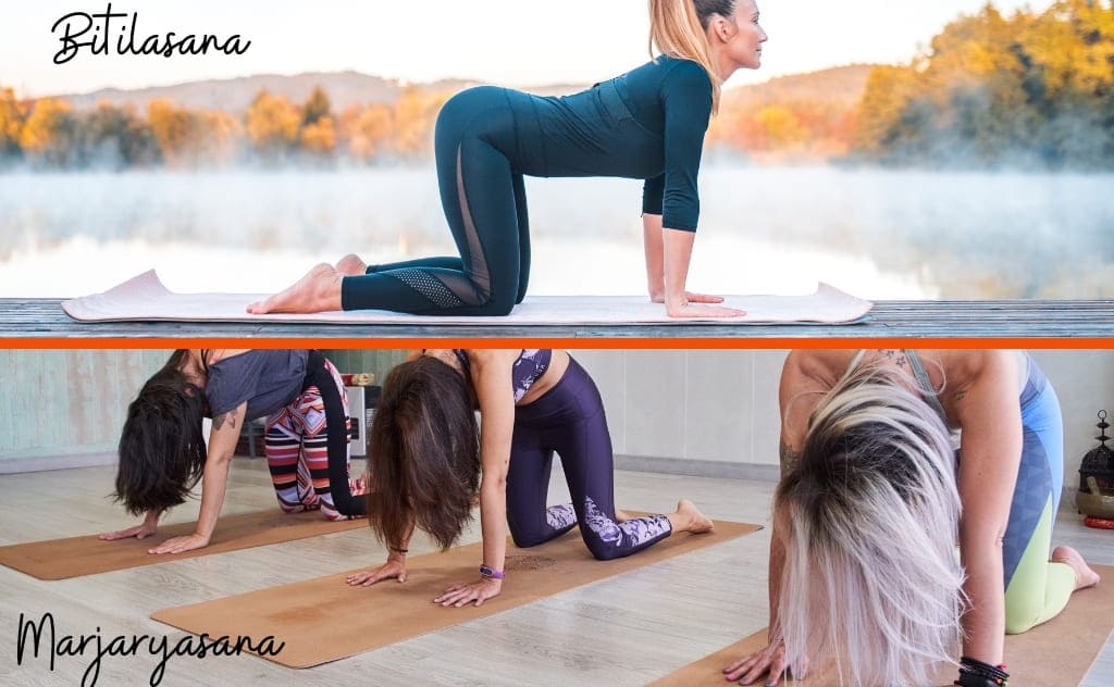 Bitilasana e marjaryasana postura do gato