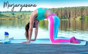 Marjaryasana postura do gato