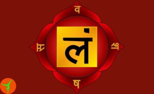 meditação no muladhara chakra raiz