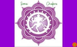 Como fazer a meditação no soma Amria chakra