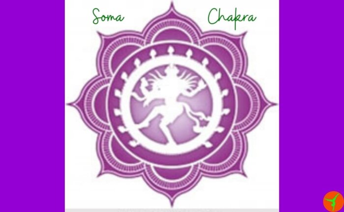 Como fazer a meditação no soma chakra Como fazer a meditação no soma Amria chakra