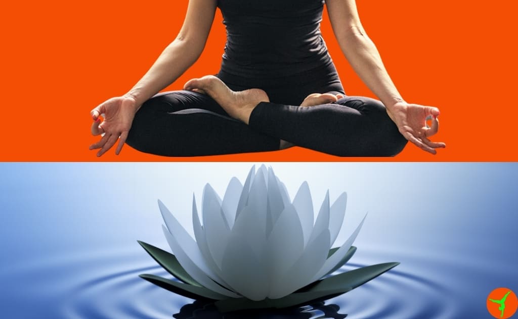 padmasana postura de lótus como fazer